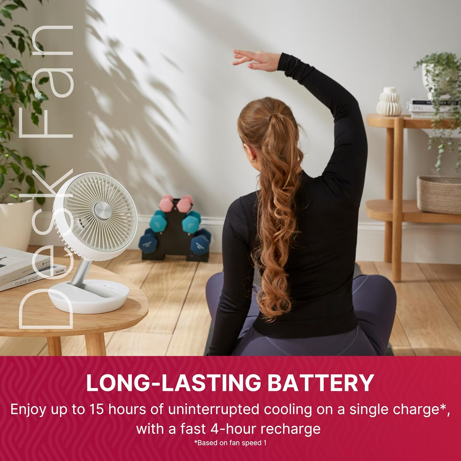 Dimplex Cordless Rechargeable Desk Fan | DXRCFN