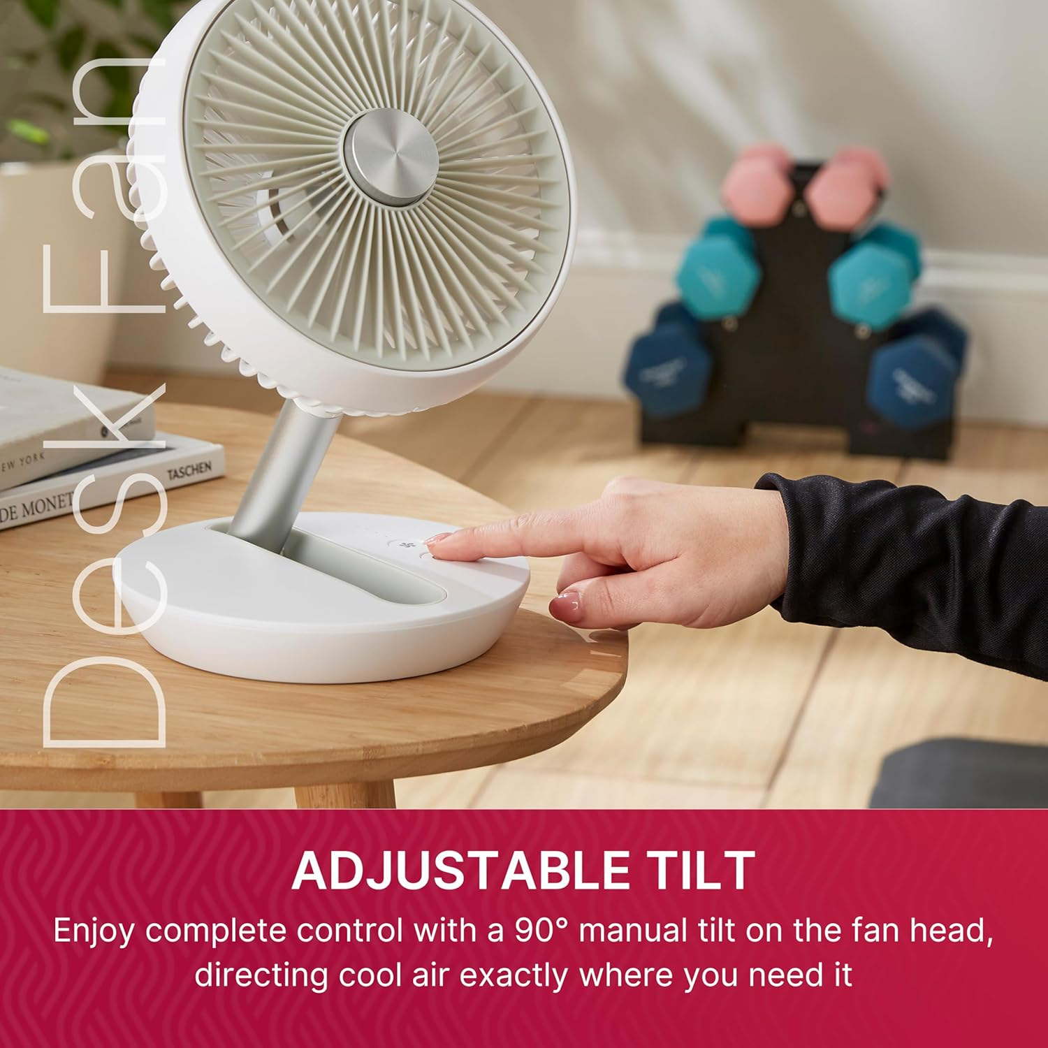 Dimplex Cordless Rechargeable Desk Fan | DXRCFN