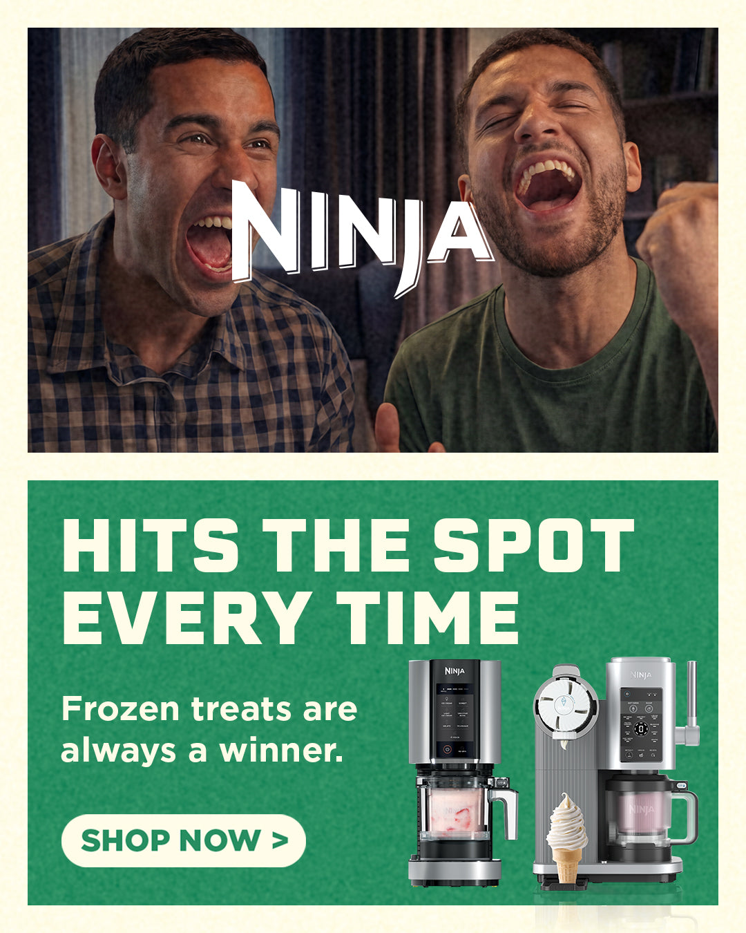 Ninja Frozen Treats