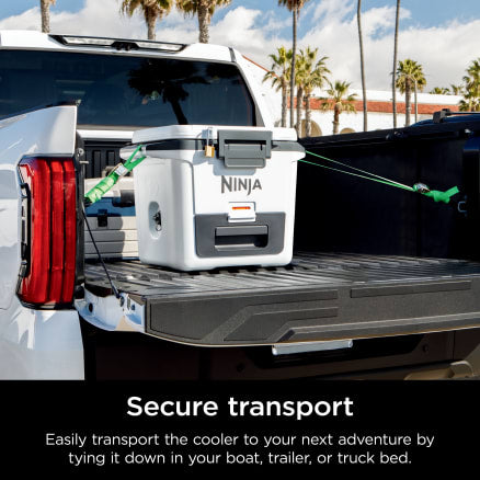 Ninja FrostVault‚ Hard Cooler with Dry Zone | FB131UKGY