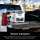 Ninja FrostVault‚ Hard Cooler with Dry Zone | FB131UKGY