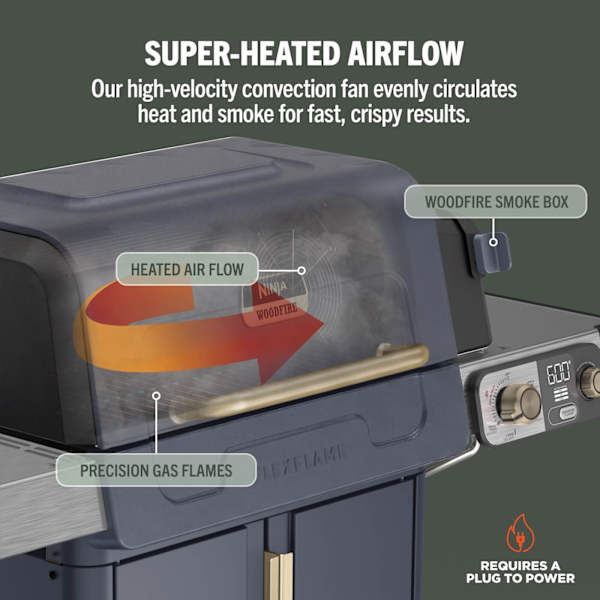 Ninja FlexFlame Gas 5-in-1 Outdoor BBQ - Blue & Gold | PG301UKBL