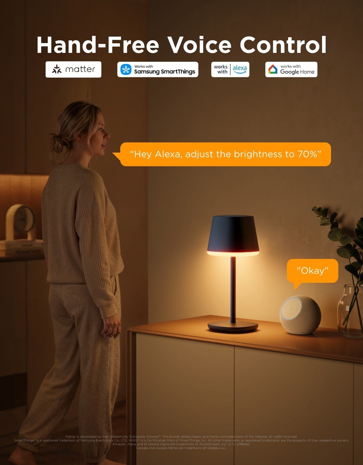 Govee Table Lamp Classic Cordless Smart Table Lamp Black - official product image