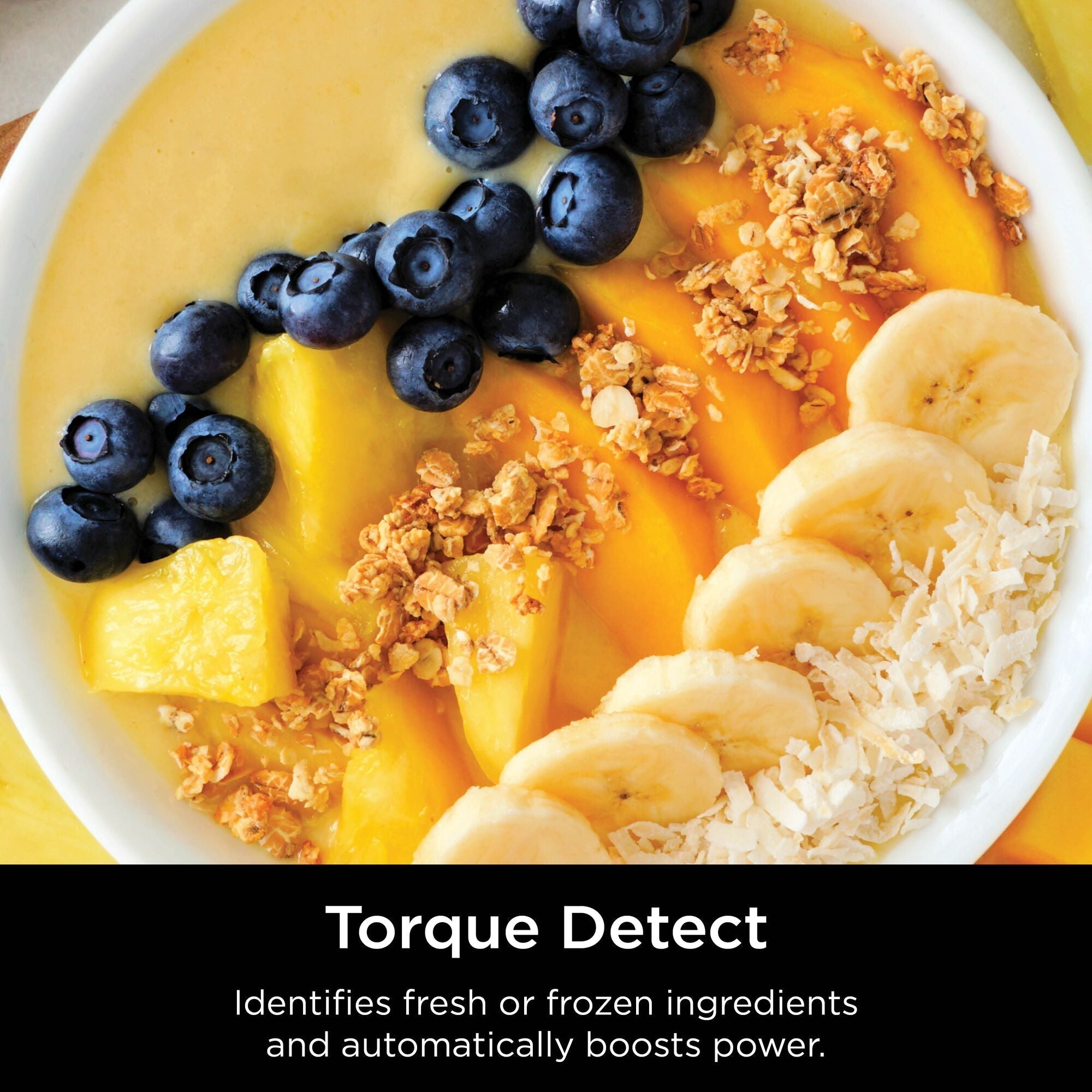 Ninja Detect Power Blender Pro 1200W with 2.1L Jug product image